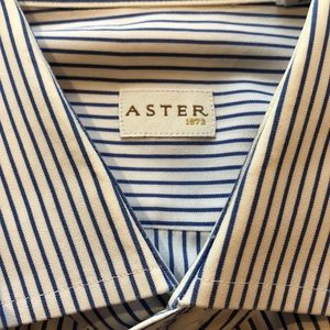 Men’s aster button down shirt